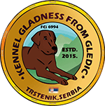 Odgajivačnica Labrador Retrivera